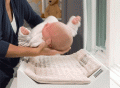 Hatch Baby Smart Changing Pad