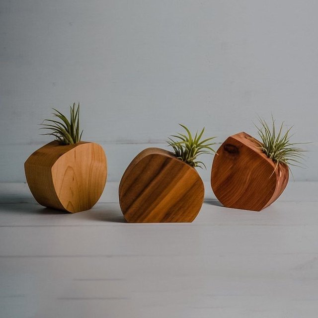 Round Cut Off Air Plant Vase by District 31