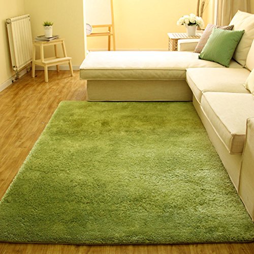 Super Soft Modern Shag Area Silky Smooth Rugs