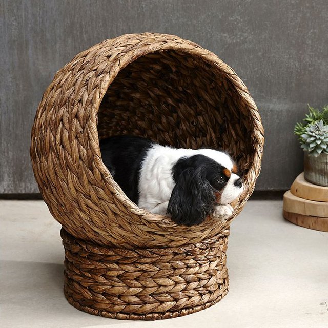 Plantan Pet Bed