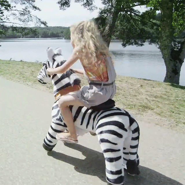 Vroom Rider x PonyCycle Ride-On Animals