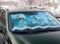 Star Wars Empire Strikes Back Sunshade