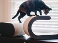 Arty Cat Scratcher by P.L.A.Y.
