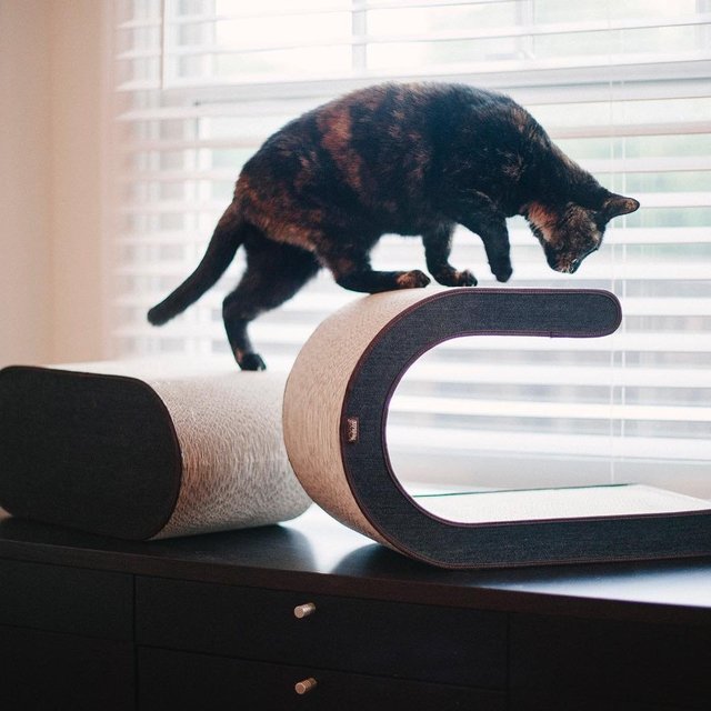 Arty Cat Scratcher by P.L.A.Y.