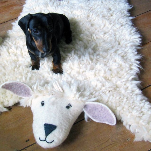 Shirley Sheep Animal Rug