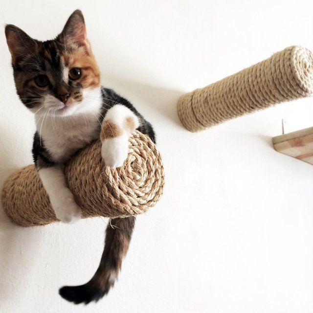 Floating Sisal Cat Post Step by CatastrophiCreations