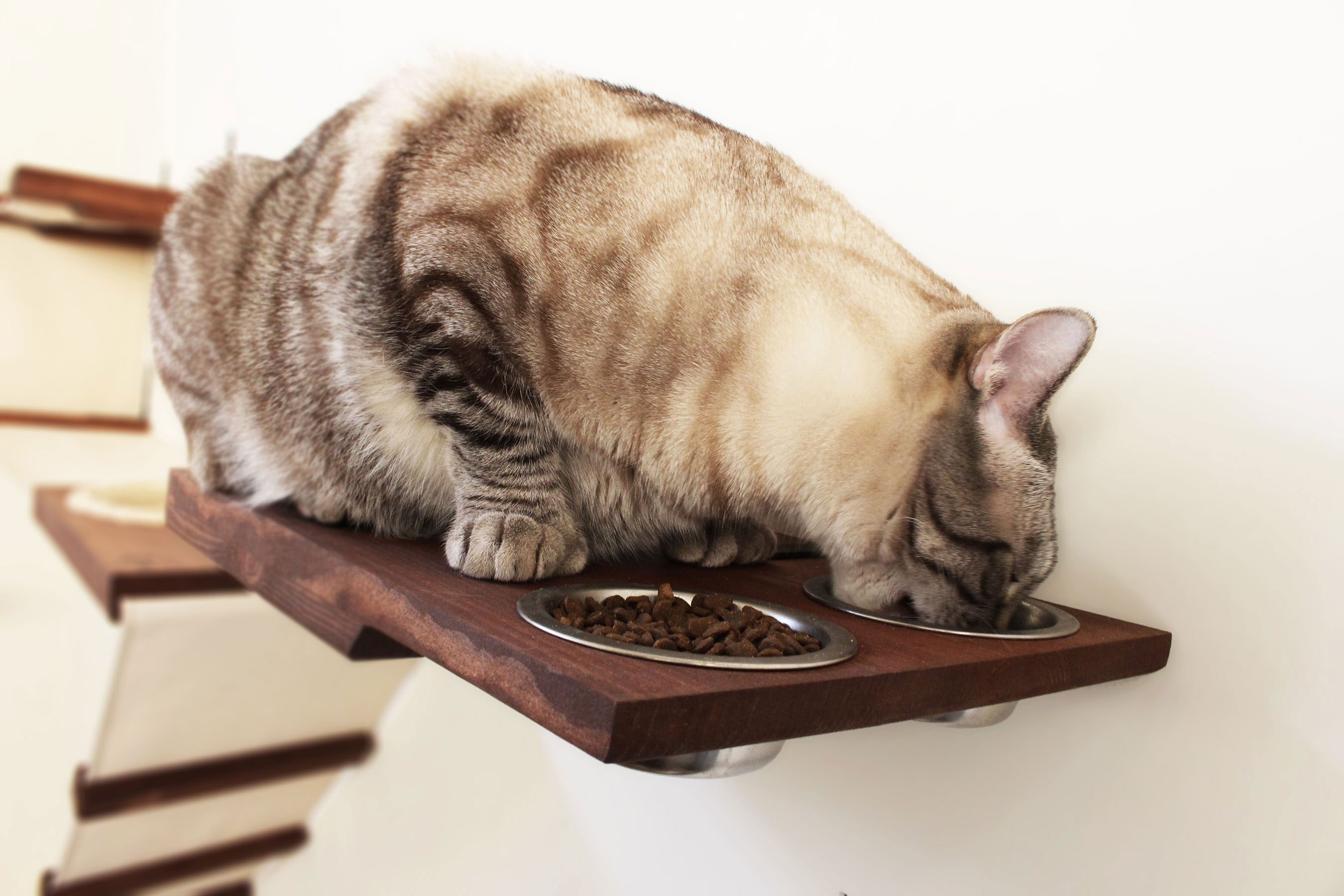 Cat Dining Table by CatastrophiCreations