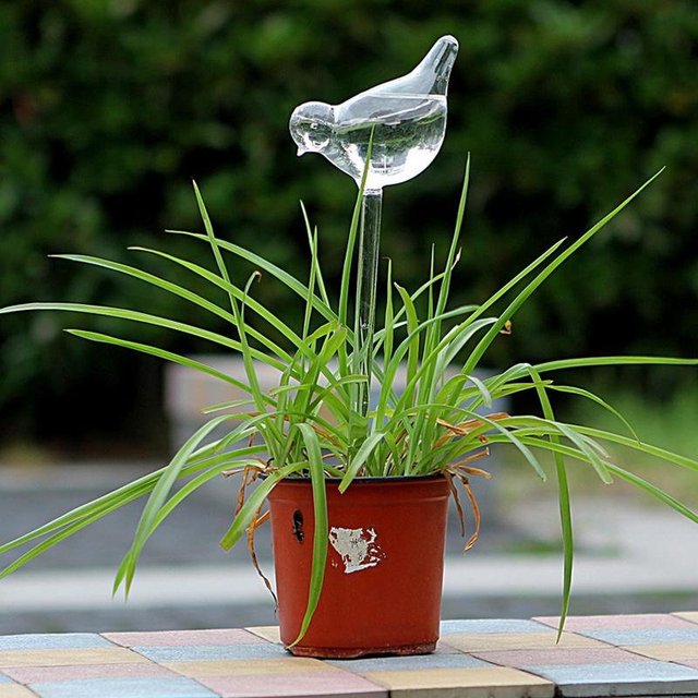 Glass Plant Watering Bird