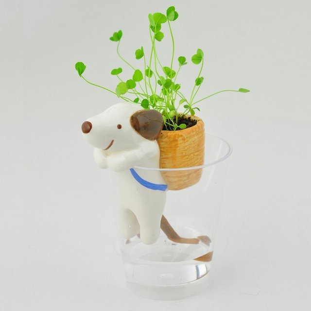 Mini Self Watering Flowerpot