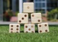 Natural Wood Giant Dice