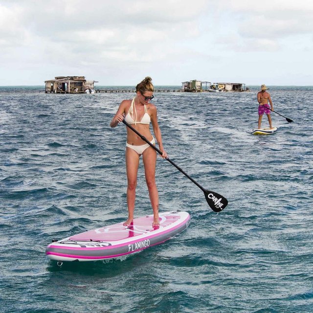 Flamingo Paddleboard Combo by Caribe SUP