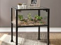 Terrarium Display End Table