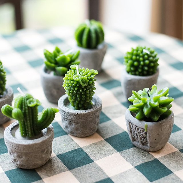 Cactus Tealight Candles