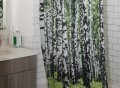 Birch Forest Shower Curtain