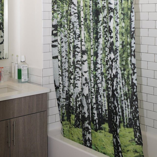 Birch Forest Shower Curtain