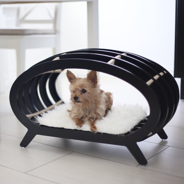 Pet Daybed