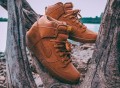 Nike Dunk High Premium SB Brown Ale