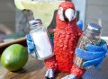 Parrot Lovers Salt and Pepper Set