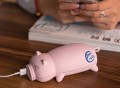 Piggy Power Bank