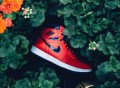 Air Jordan 1 Retro High OG David Letterman