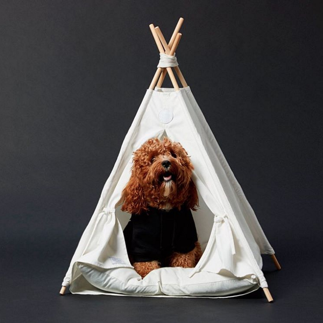 Pup Tent Tipi & Bed