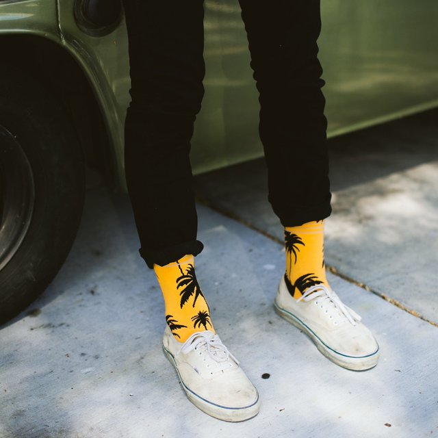 Palms Crew Socks by Strollegant