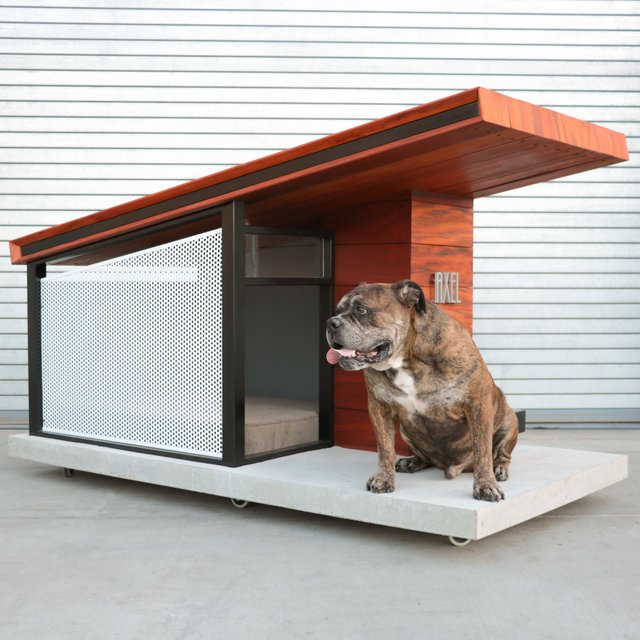 MDK9 Dog Haus by RAH:DESIGN