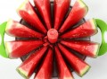 Melon Slice Cutter
