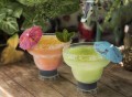 Margarita FREEZE Cooling Cups by HOST