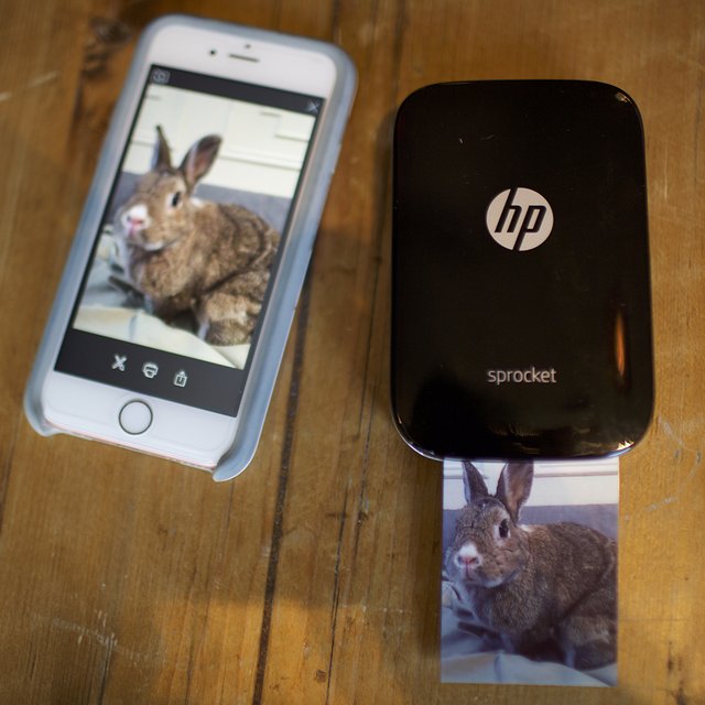 HP Sprocket Photo Printer