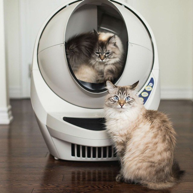 Litter Robot III Open Air Self Cleaning Litter Box