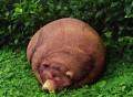 Grizzly Bear Bean Bag