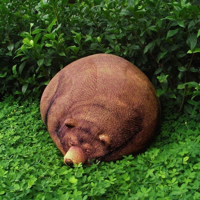 Grizzly Bear Bean Bag