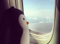 Zip & Flip Penguin Travel Pillow