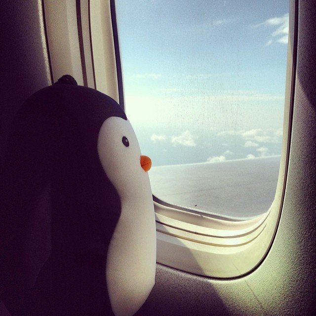 Zip & Flip Penguin Travel Pillow