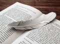 Kosha Feather Bookmark