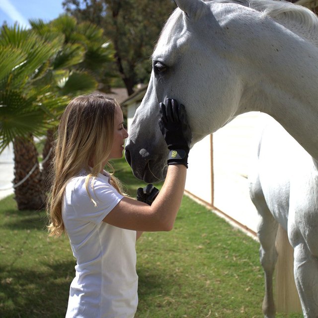 HandsOn Pet Grooming Gloves