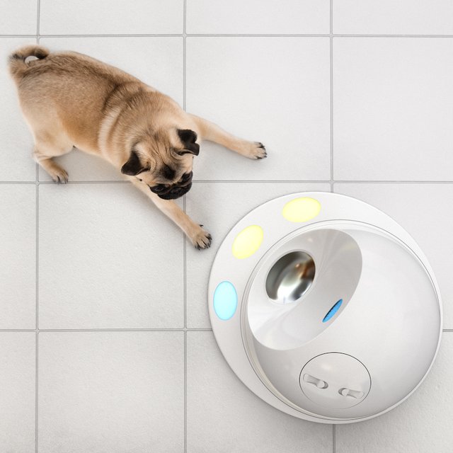 CleverPet Smart Treat Console