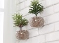 Wall Mounted Hanging Planter