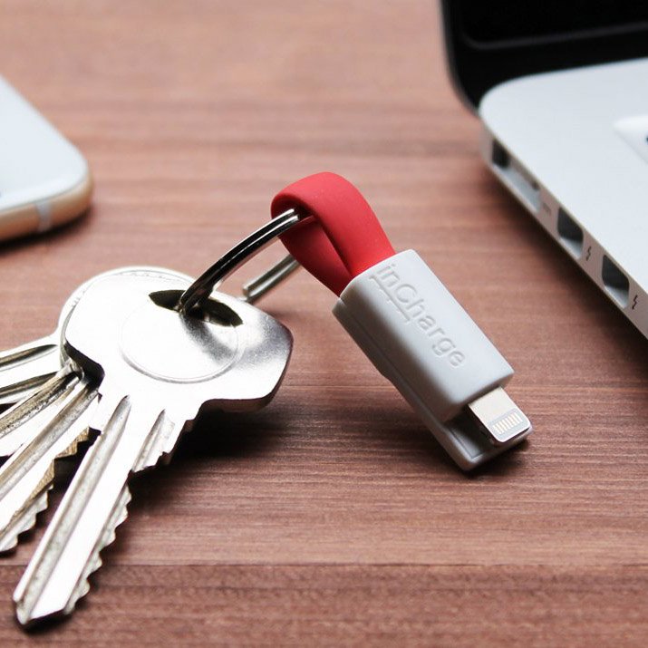 inCharge Smallest Keyring Cable
