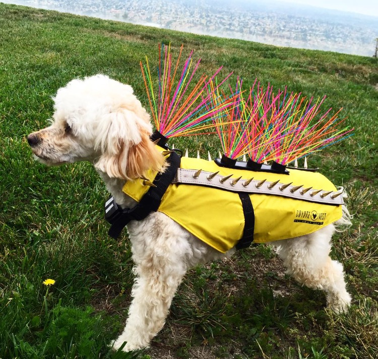 CoyoteZapper Dog Protection