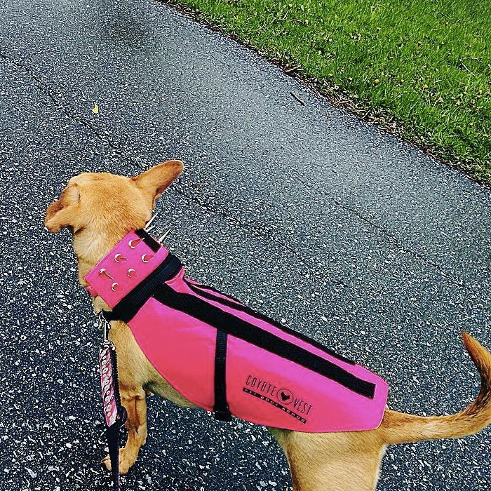 CoyoteVest Pet Body Armor