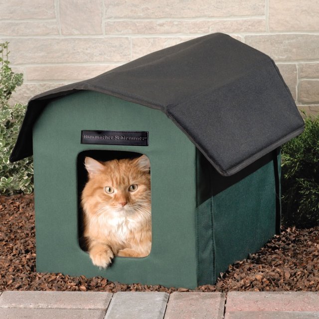Outdoor Heated Cat Shelter