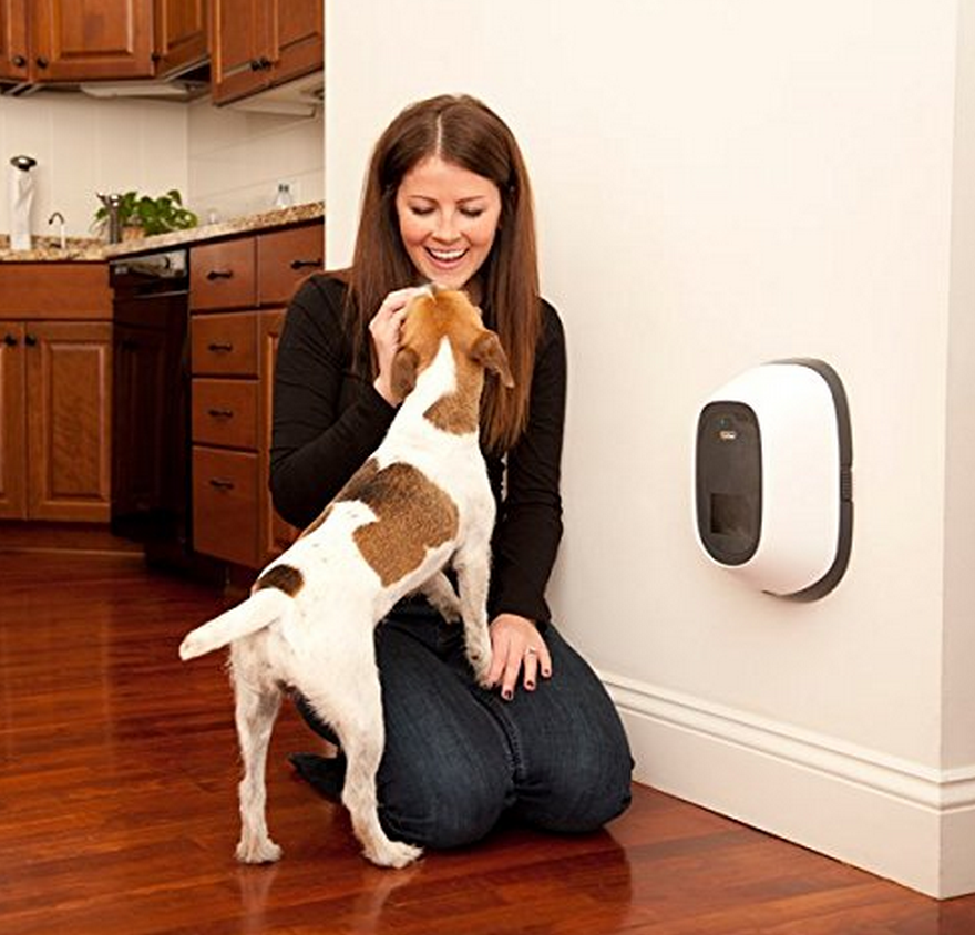 PetChatz Greet & Treat Videophone