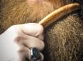 Beard Comb 100% Natural Buffalo Horn