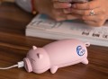 Cute Pig Power Bank