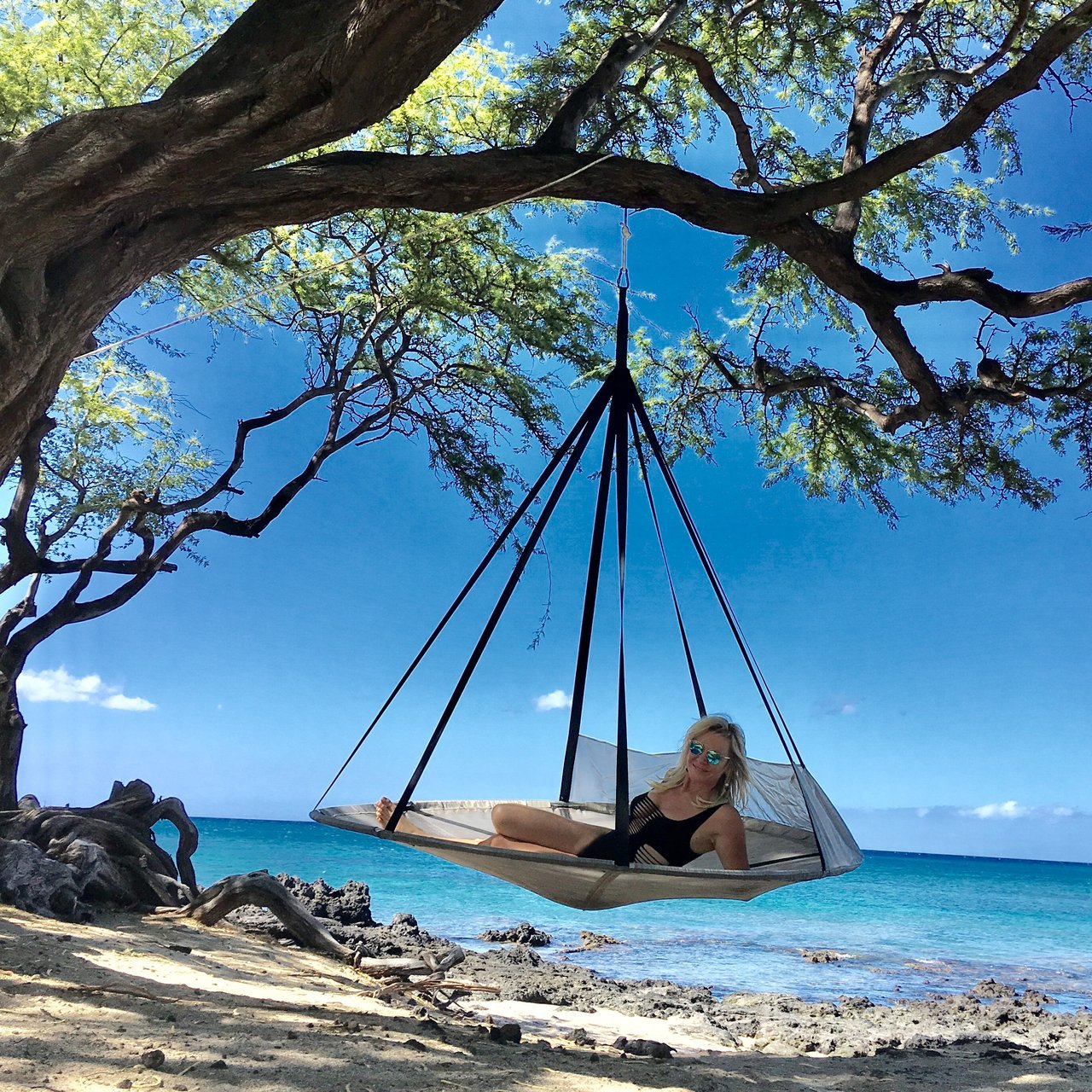 Flying Saucer Hanging Chair