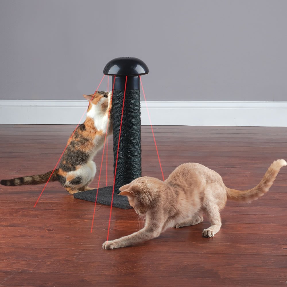 Cat Laser Scratch Post