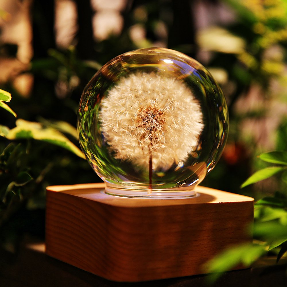 Dandelion Lamp