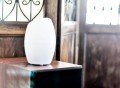 Jellyfish Aroma Diffuser